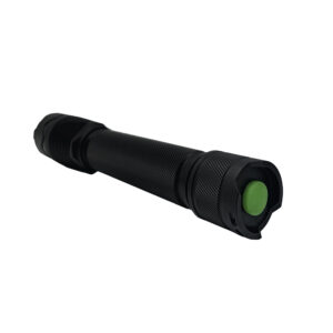 Sample post title with format Audio